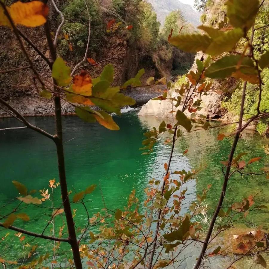 Refugio Del Salto -Radal 7 Tazas Villa Molina  Buitenkant foto