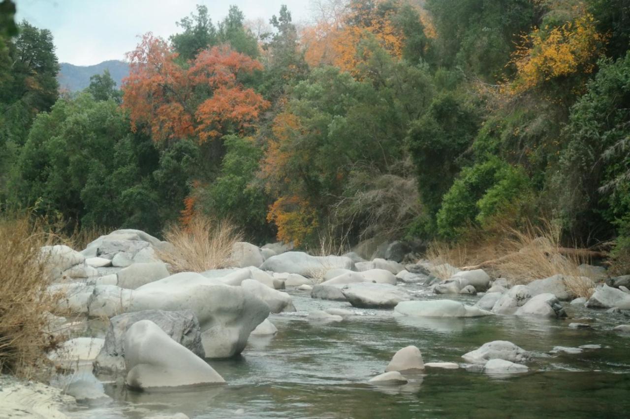 Refugio Del Salto -Radal 7 Tazas Villa Molina  Buitenkant foto
